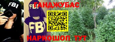 крисы Гусев