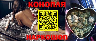 крисы Гусев